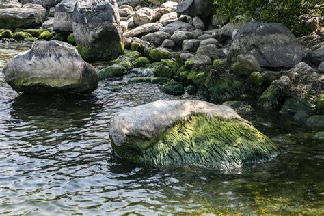 河邊